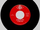 BIRD DOGS-IGL REDORDS #118-1966-“UNCHAIN MY HEART”-GARAGE-HURON, SD-NM