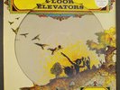 THIRTEENTH FLOOR ELEVATORS: live DECAL 12