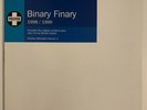 Binary Finary - 1998 / 1999 12TIVMIX02 Positiva 2x 12“ Vinyl 2003