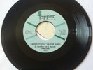 Northern Soul 7 45  TOBI LARK