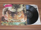 Peter And The Test Tube Babies ?- The Mating Sounds Of South American Frogs