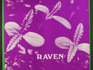 RAVEN: back to ohio blues ROCKADELIC 12