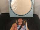 Bon Jovi, Slippery When Wet, VGC - PICTURE DISC vinyl LP
