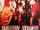 Slightly Stoopid   Everything You Need   Ltd Ed BLACK Vinyl LP   Sold Out