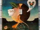 Nick Drake - Vinyl Record - Pink Moon 1972