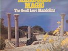 Disk 33 RPM Mandolin Magic The Geoff Love Mandolin Pick