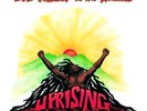 BOB MARLEY & THE WAILERS - Uprising (180g Vinyl LP, 2015)