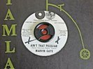 northern soul Marvin Gaye Ain't that peculiar DEMO EX Condition