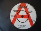The Beach Boys Ten Little Indians Vinyl 45  Capitol 15285 demo