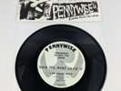 Pennywise A Word From the Wise rare 7 inch