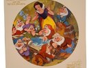 Disney - Snow White And The Seven Dwarfs Picture Disc Soundtrack 12