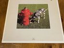 Rush Signals Vinyl LP