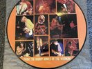 NIRVANA From The Muddy Banks Of The Wishkah Picture Disc LP RARE  Grunge Metal