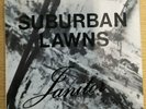 Suburban Lawns, Janitor, Protection, 7 inch Punk Rock Record, Excellent Conditio