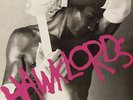 HAWKLORDS-25 YEARS ON VINYL NEW