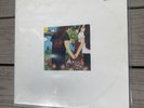 AC Anal Cunt Picnic Of Love 1st Pressing LP Vinyl Grindcore
