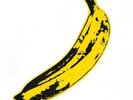 The Velvet Underground & Nico Self Titled [in-shrink] Vinyl Record Album reissue