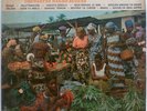 BOLERO + RUMBA CONGO ORCHESTRE NEGRO SUCCES MERVEILLES DU PASSE RED LABEL HEAR