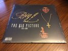 Big L - The Big Picture 2xLP - Fat Beats Exclusive Clear Vinyl OOP New