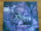 Xmal Deutschland | TOCSIN | 12