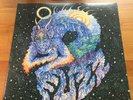 Fuzz by Fuzz (Ty Segall) (Vinyl, Sep-2013, In the Red Records) VG Stoner Rock