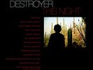 DESTROYER THIS NIGHT vinyl VL ID3447z