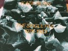 Kate Bush ‘The Single File’ box set 13 x 7” vinyl booklet & slip