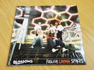 BLOSSOMS LP Foolish Loving Spaces FULLY SIGNED   180 Gram Vinyl + 12