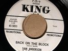 WHITE LABEL PROMO Sam Anderson and The Telstars KING 5855 VG 