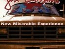 GIN BLOSSOMS: NEW MISERABLE EXPERIENCE (LP vinyl *BRAND NEW*.)