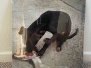 Slowthai - Runt EP 12