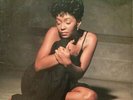 Anita Baker Rapture vinyl LP ID11962a