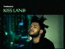 THE WEEKND - Kiss Land, Ltd 5th Anni 2LP SEAGLASS COLOR VINYL Gatefold Sealed