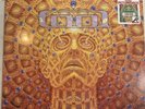 TOOL picture Disc 2LP MMXII Record  Rare