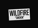 WILDFIRE - SMOKIN NEW VINYL