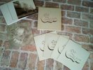 CHICAGO 4 Vinyl LP Box set Live at Carnegie Hall 3 Posters 16 photo album &more 