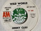 JIMMY CLIFF WILD WORLD PROMO VGPLUS £25