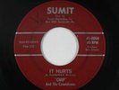 Garage Teen/Surf 45 - Chip & the Countdowns - It Hurts/Lost Horizon - Sumit mp3