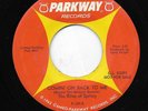 THE RITES OF SPRING 45RPM '67 PARKWAY COMIN' BACK TO ME GARAGE ROCK DJ M- VINYL