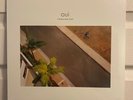 Oui by The Sea and Cake (Limited yellow vinyl, Thrill Jockey) New Sealed.
