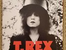 T. Rex The Slider 1973 Reprise Records MS 2095 Glam