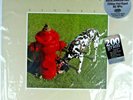 Rush: Signals 200g DMM Audiophile Vinyl LP. Roll The Bones. 2112. Hemispheres.