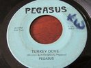 PEGASUS RARE MICHIGAN FUZZ HARD ROCK GARAGE 45 ON PRIVATE LABEL TURKEY DOVE