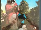 J.J.CALE - NATURALLY - UK VINYL ALBUM - A&M AMLS68105 - VGC