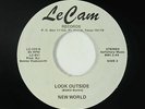 Psych Funk 45 - New World - Look Outside - Le Cam - VG+ mp3 - obscure