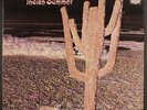 indian summer: indian summer RCA/NEON 12
