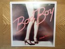 *FACTORY SEALED* LP RECORD/BAD BOY/PRIVATE PARTY/1981 WISCONSIN POWER POP ROCK