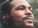 MARVIN GAYE..LP..(WHAT'S GOING ON)   TAMA TS-310  1971  1st PRESSING