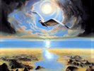 ILLUSION - LP = 