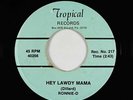 Rockabilly C&W Outsider 45 - Ronnie-D - Hey Lawdy Mama - Tropical - mp3 obscure